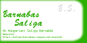 barnabas saliga business card